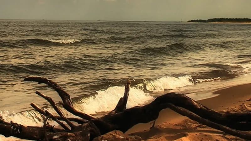 Najpiękniejsze plaże polskiego wybrzeża