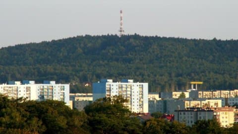 Stok Narciarski Telegraf