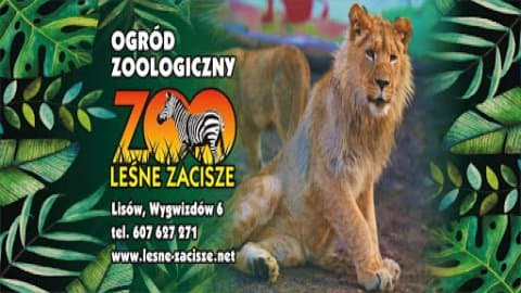 Zoo Leśne Zacisze
