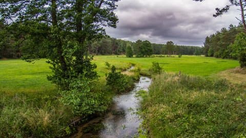 Wdzydzki Park Krajobrazowy