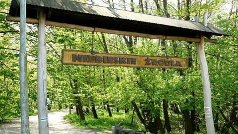 Rezerwat Niebieskie Źródła