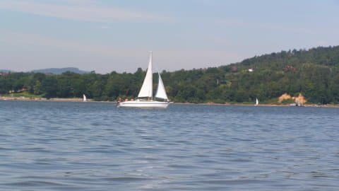 Jezioro Żywieckie