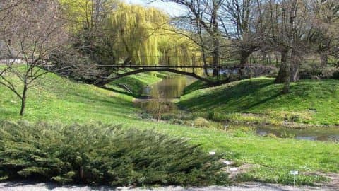 Ogród Botaniczny