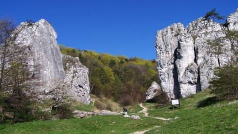 Park Krajobrazowy Dolinki Krakowskie
