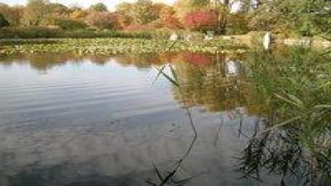 Ogród Botaniczny