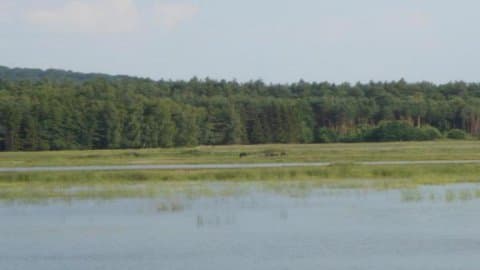 Roztoczański Park Narodowy