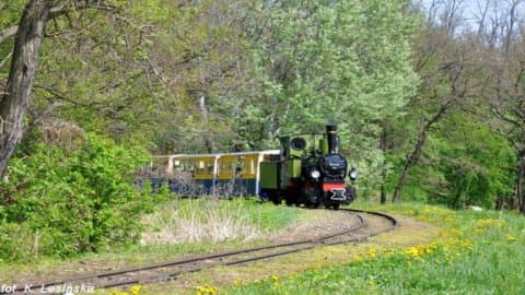 Kolejka Parkowa Maltanka