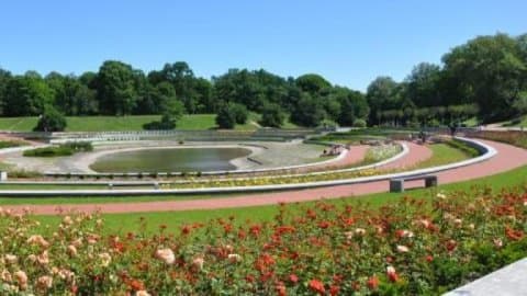 Park Cytadela