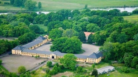 Stado Ogierów