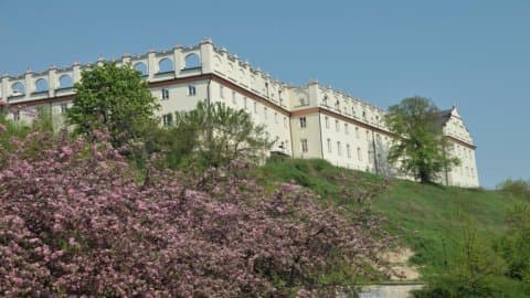 Collegium Gostomianum