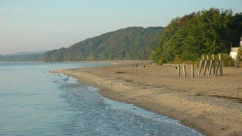 Plaża Orłowo