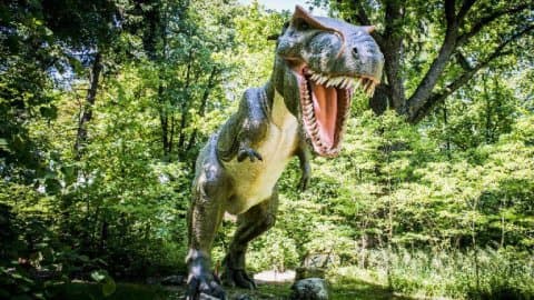 Zatorland Parki Rozrywki