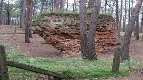 Ruiny kościoła św. Mikołaja