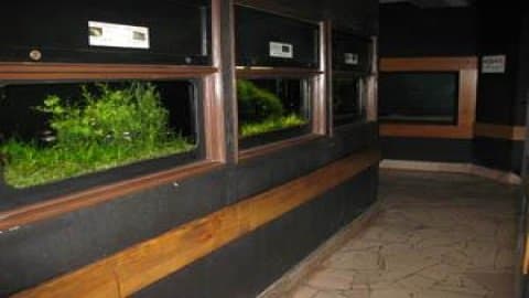 Miejski Ogród Zoologiczny