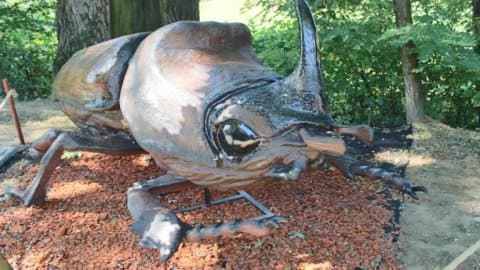 Parkus Gigantus