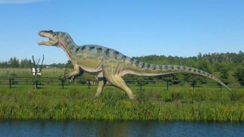 Park Dinozaurów