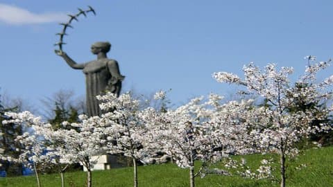 Park sakur
