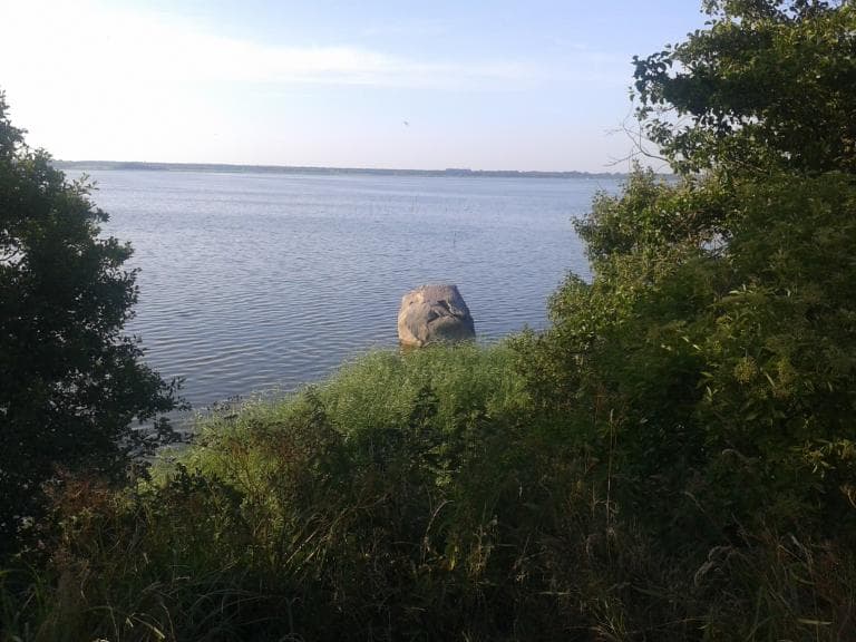 Kamień Pomorski-Buniewice-Kamień Pomorsk
