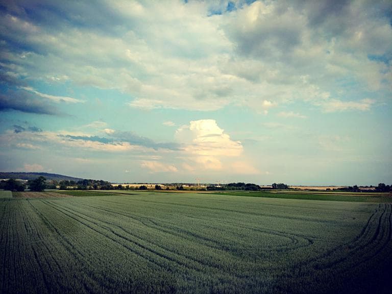 Myto - Buków - Tworków - Myto