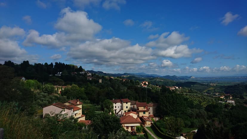 Per Pedona