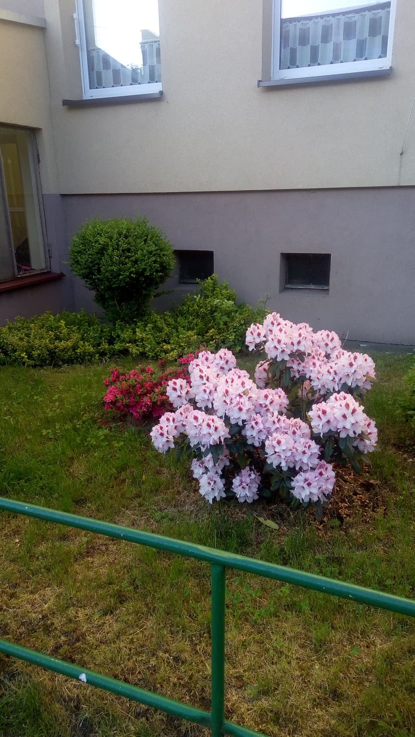 09.06.2018 13.51