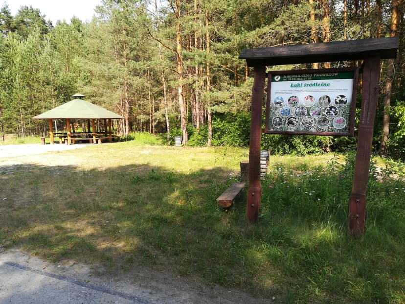 Stalowa - Obojna - Jamnica - Stalowa