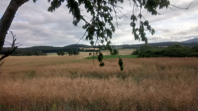 Bielawa - Owiesno - Bielawa