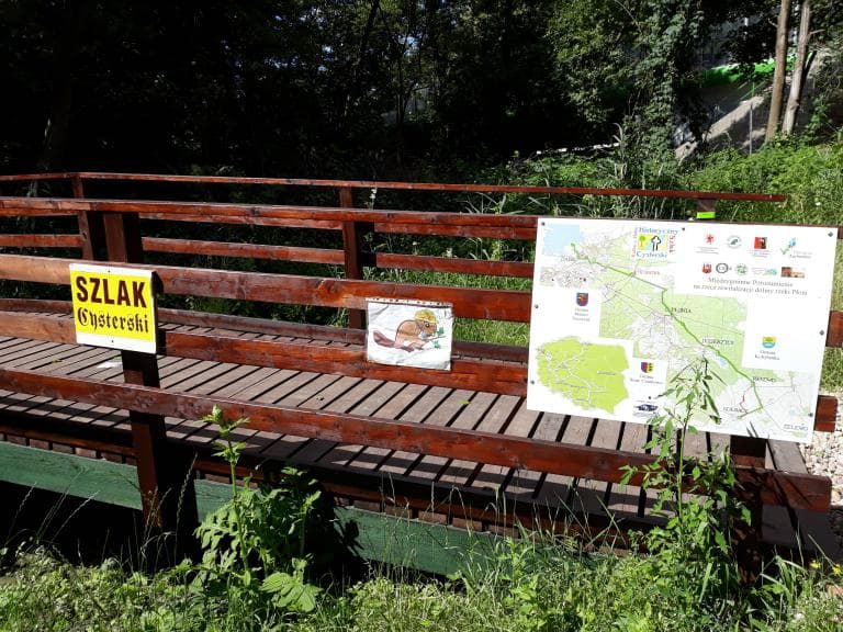 Kółeczko po Puszczy Bukowej