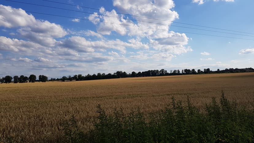 Ligota Łabędzka
