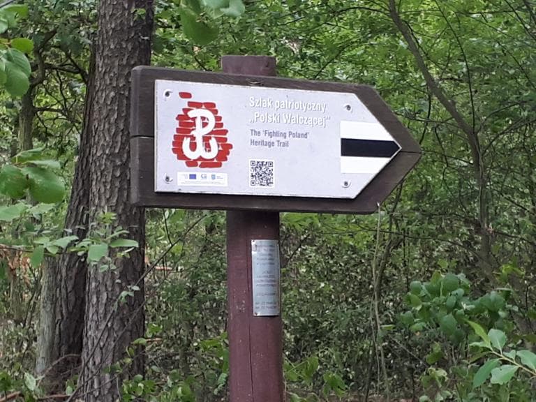 Młociny-Rajszew i okolice-Młociny