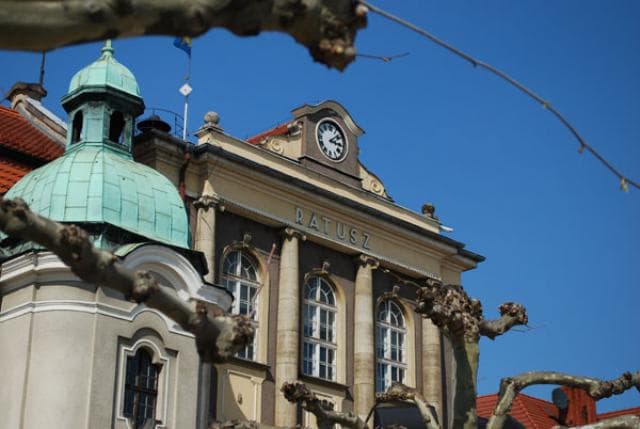 Rezerwat przyrody - Las Murckowski