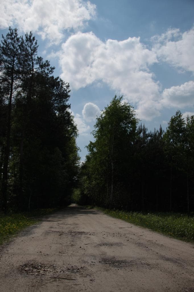Skierniewice - Nieborów i okolice A2