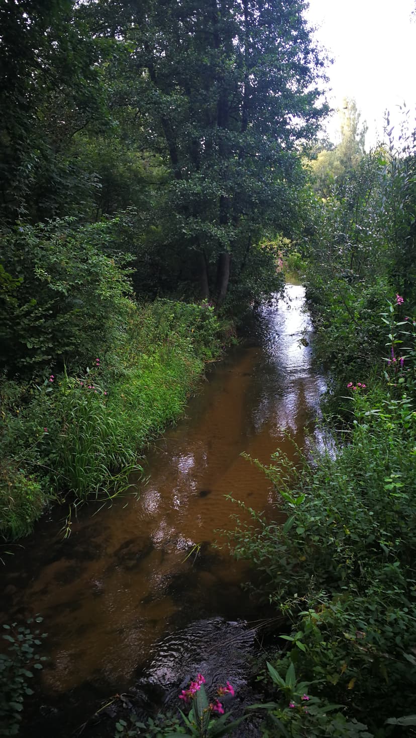 06.08.2028 Runda wokół Słupska 06.08.2018