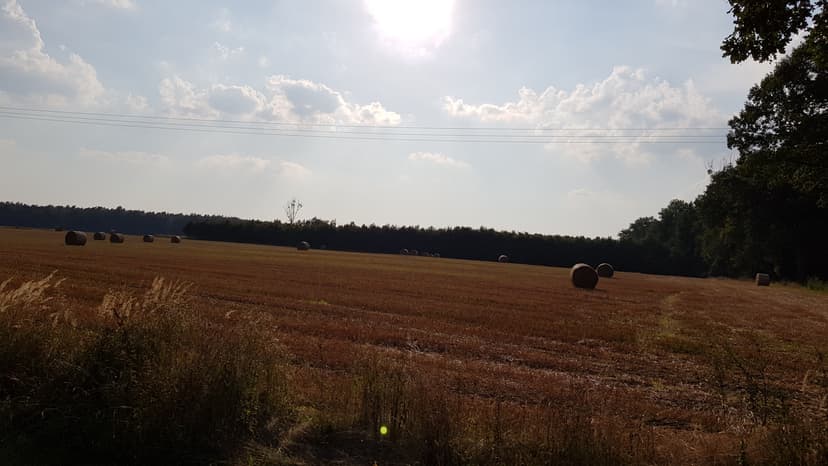 Sierakowice Rachowice