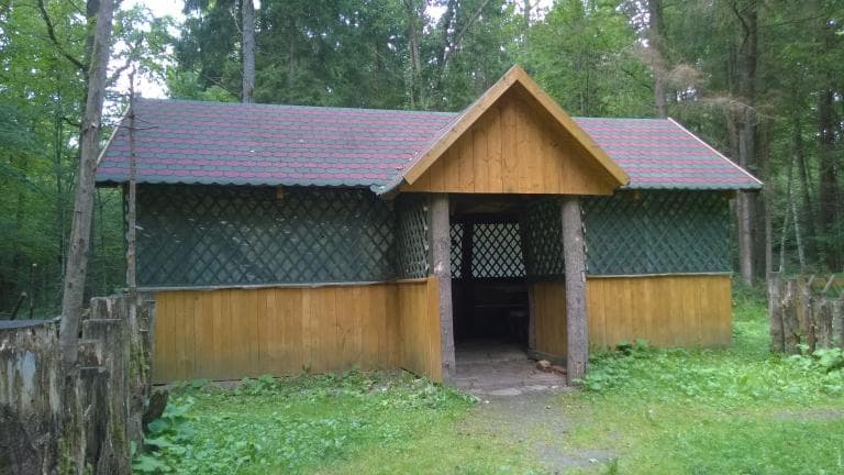 Białowieża-Narewka-Białowieża