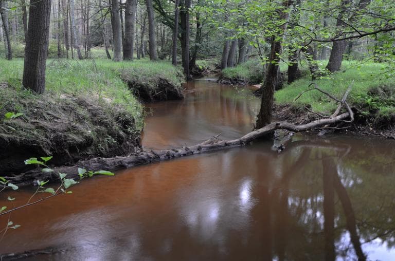 Bolesławiec - Parowa
