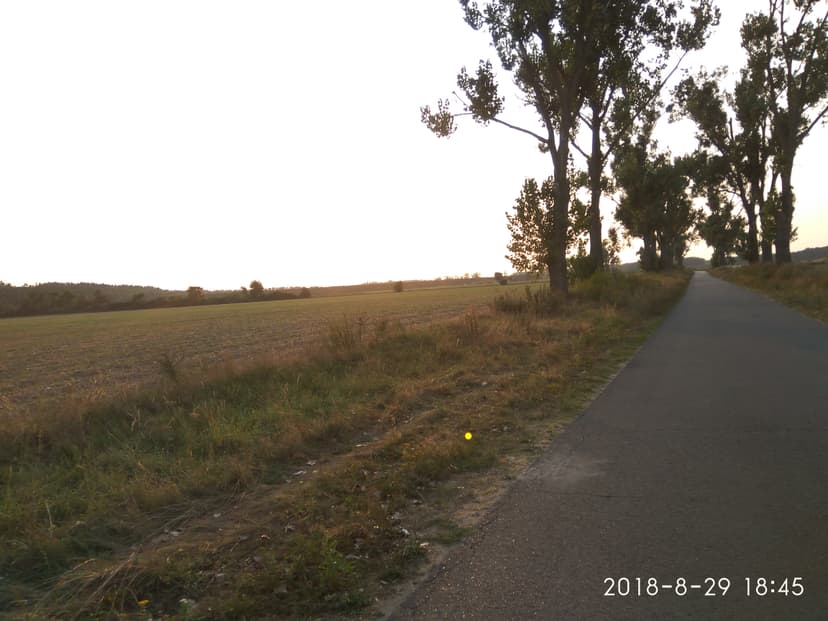 Żerków Lgów Dębno 29 08 2018