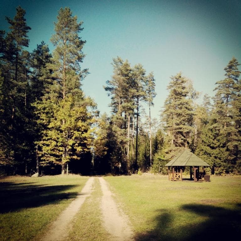 Białowieża-Siemianówka-Narewka-Białow.