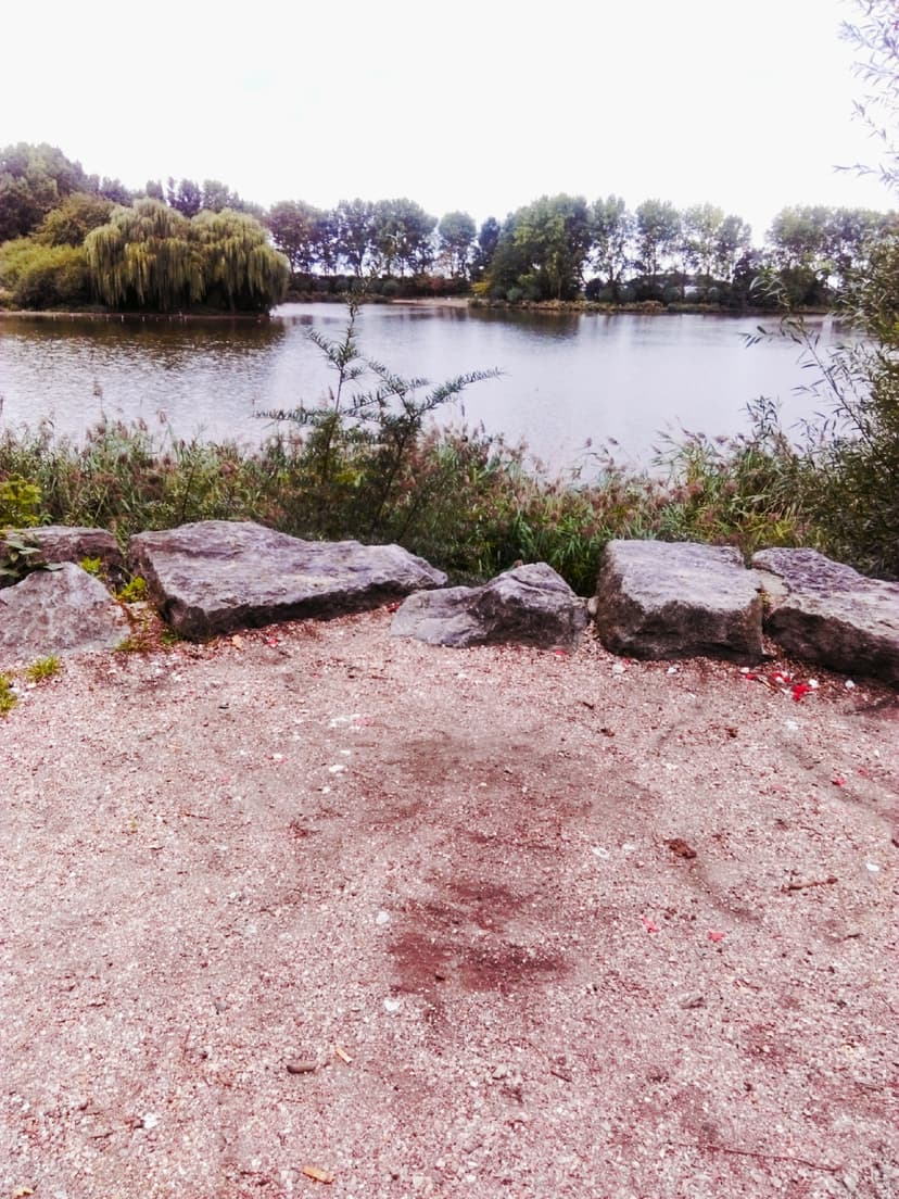 Hoek Van Holland - Prinsenbos Park Naaldwijk
