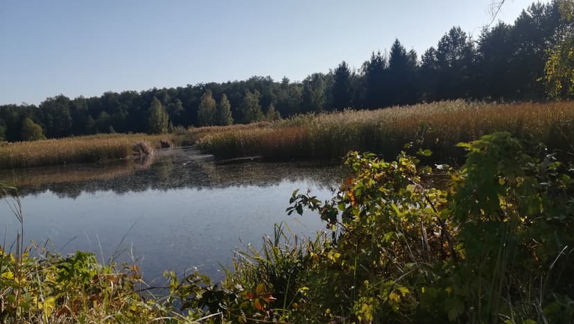 05.10.2018 13:48