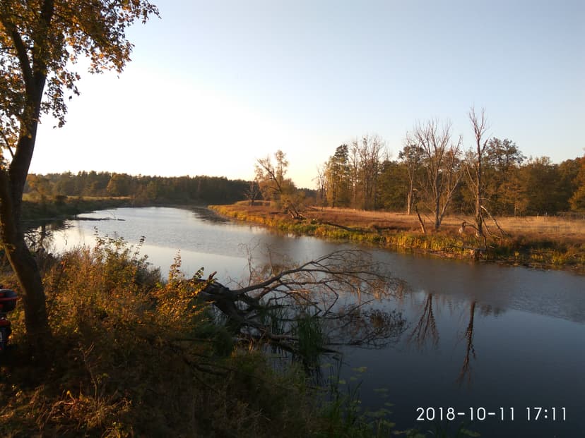 Dębno Nowe Miasto Radliniec