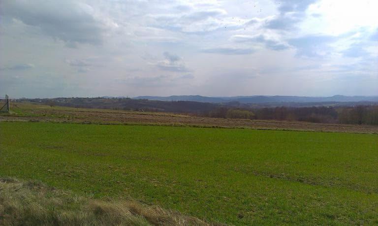 Lewniowa- Sterkowiec
