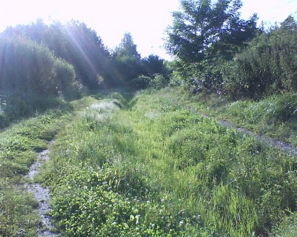 Wyjazd nad wodę do Chotowa