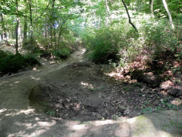 Gorzów Wlkp. Park Słowiański-ParkDownHil