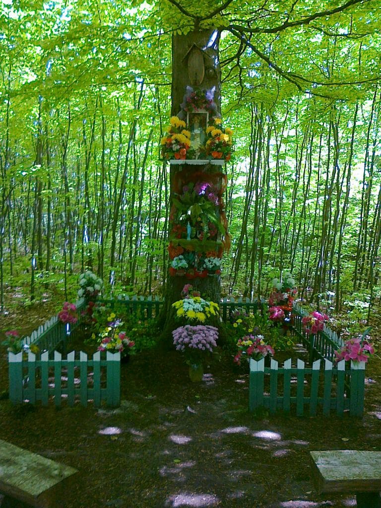 Kartuzy-Kosy-Kartuzy