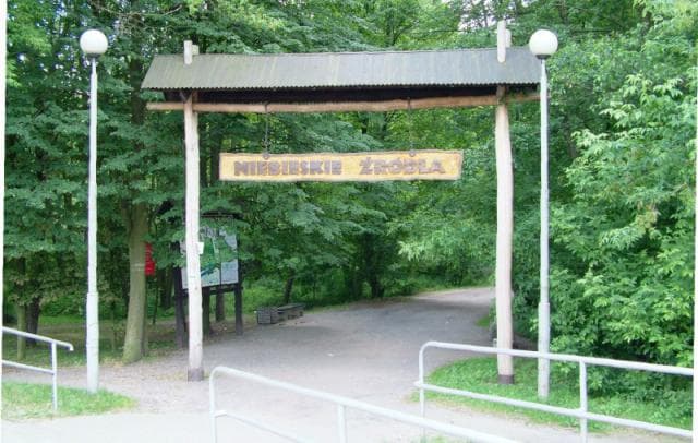 Tomaszów Maz. - Bukowiec nad Pilicą