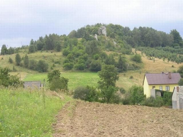 Czatachowa - Złoty Potok
