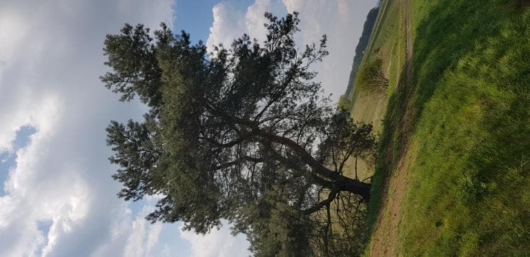 Trasa Rowerowa Po Okolicy Młoty Orzeszków