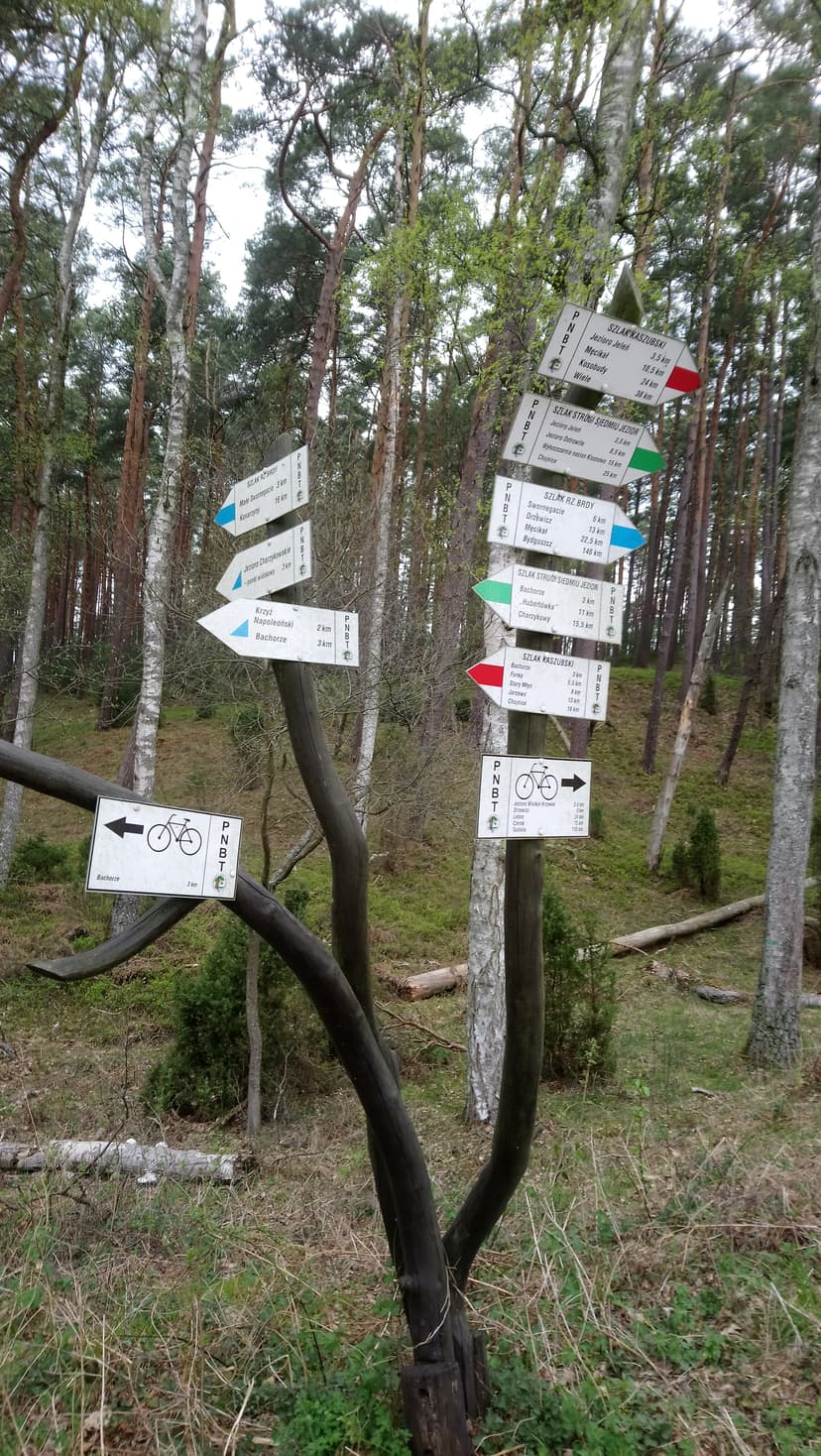 Chojnice-Bachorze- Bartuś-Męcikał-Chojnice
