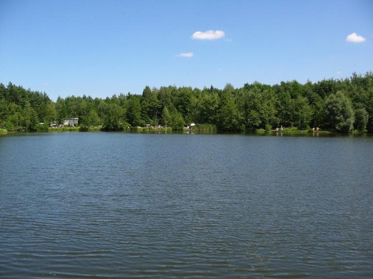 Mikołów - okolice, relaksowo po lesie